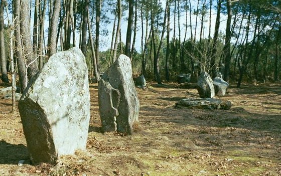 Champ de menhirs quelque part en Bretagne
